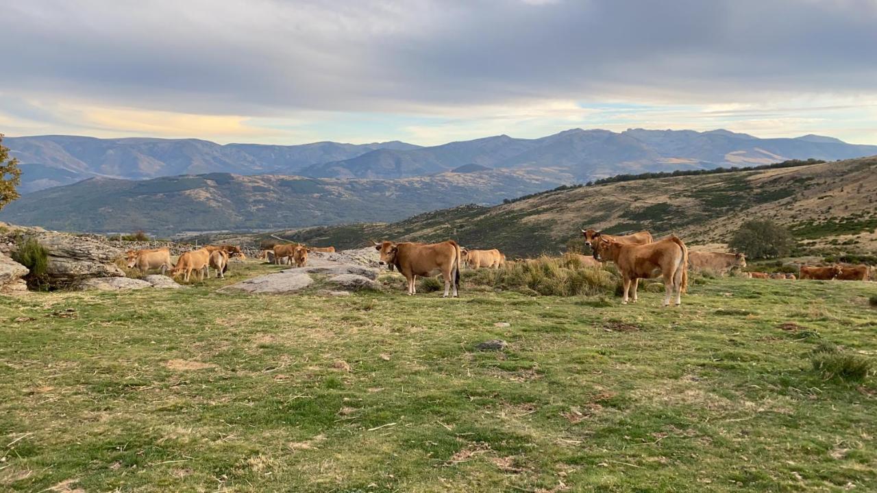 El Pajar De Tio Mariano Villa Tremedal Dış mekan fotoğraf